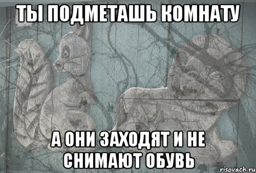 ты подметашь комнату а они заходят и не снимают обувь, Мем Тлен