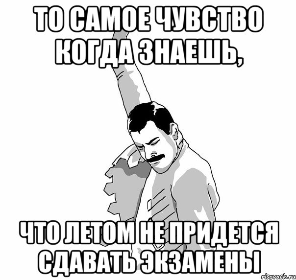 то самое чувство когда знаешь, что летом не придется сдавать экзамены, Мем   Фрэдди Меркьюри (успех)