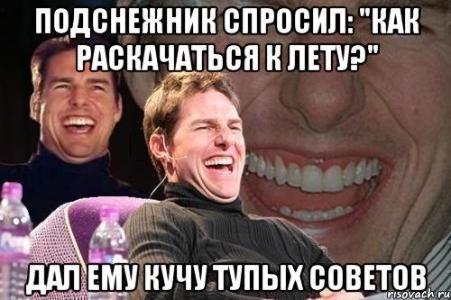 подснежник спросил: "как раскачаться к лету?" дал ему кучу тупых советов, Мем том круз