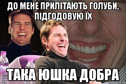 до мене прилітають голуби, підгодовую їх така юшка добра, Мем том круз