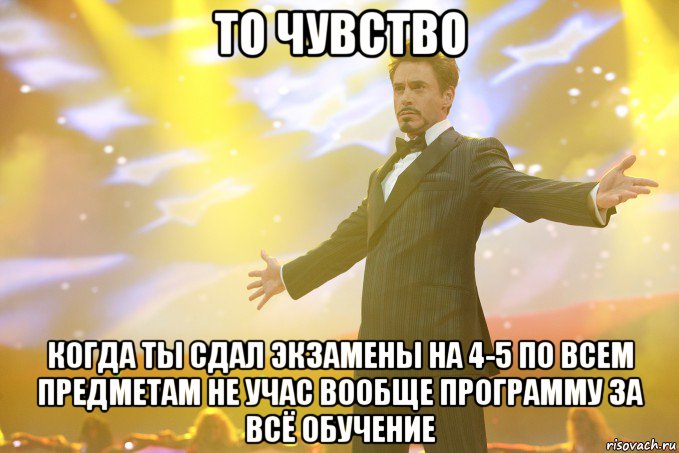 то чувство когда ты сдал экзамены на 4-5 по всем предметам не учас вообще программу за всё обучение, Мем Тони Старк (Роберт Дауни младший)