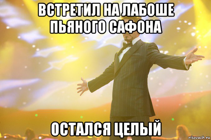 встретил на лабоше пьяного сафона остался целый, Мем Тони Старк (Роберт Дауни младший)