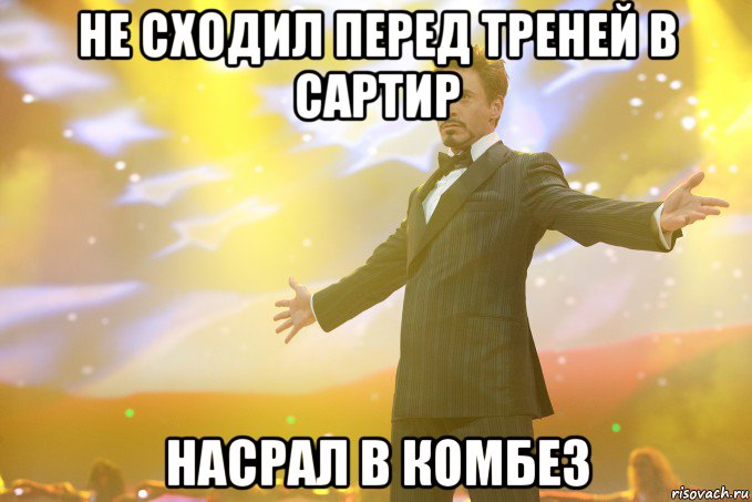 не сходил перед треней в сартир насрал в комбез, Мем Тони Старк (Роберт Дауни младший)