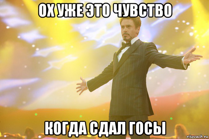 ох уже это чувство когда сдал госы, Мем Тони Старк (Роберт Дауни младший)