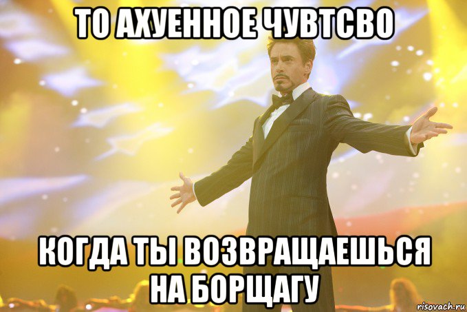 то ахуенное чувтсво когда ты возвращаешься на борщагу, Мем Тони Старк (Роберт Дауни младший)