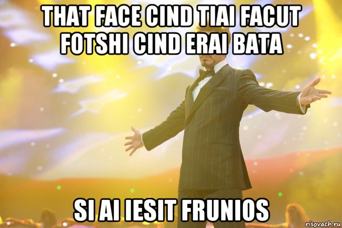 that face cind tiai facut fotshi cind erai bata si ai iesit frunios, Мем Тони Старк (Роберт Дауни младший)