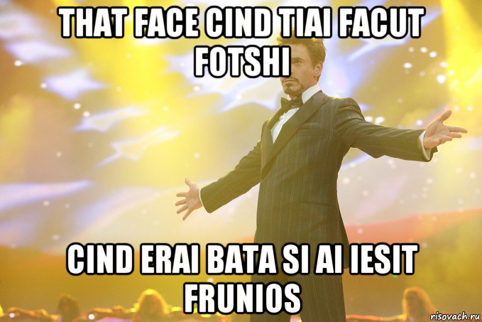 that face cind tiai facut fotshi cind erai bata si ai iesit frunios, Мем Тони Старк (Роберт Дауни младший)