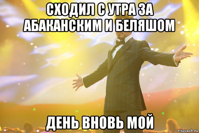 сходил с утра за абаканским и беляшом день вновь мой, Мем Тони Старк (Роберт Дауни младший)