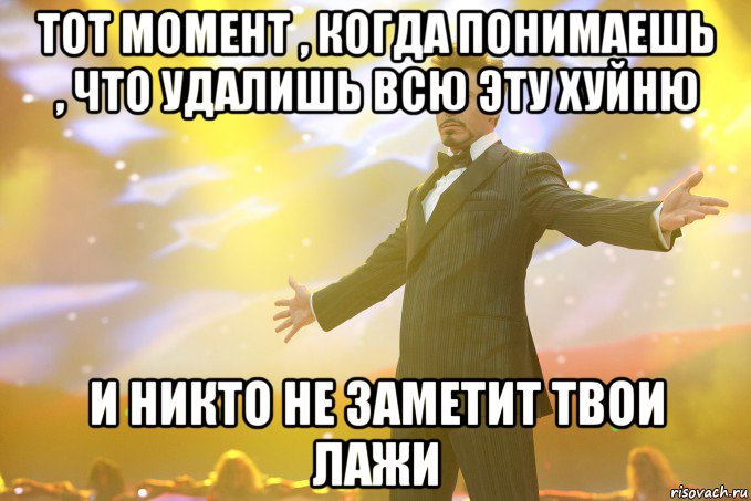 тот момент , когда понимаешь , что удалишь всю эту хуйню и никто не заметит твои лажи, Мем Тони Старк (Роберт Дауни младший)