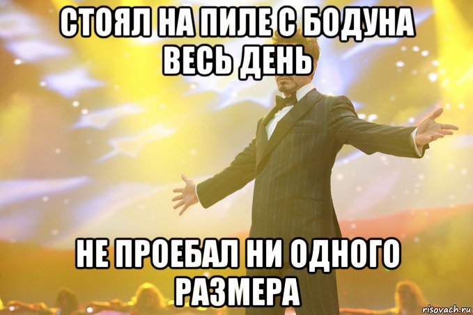 стоял на пиле с бодуна весь день не проебал ни одного размера, Мем Тони Старк (Роберт Дауни младший)