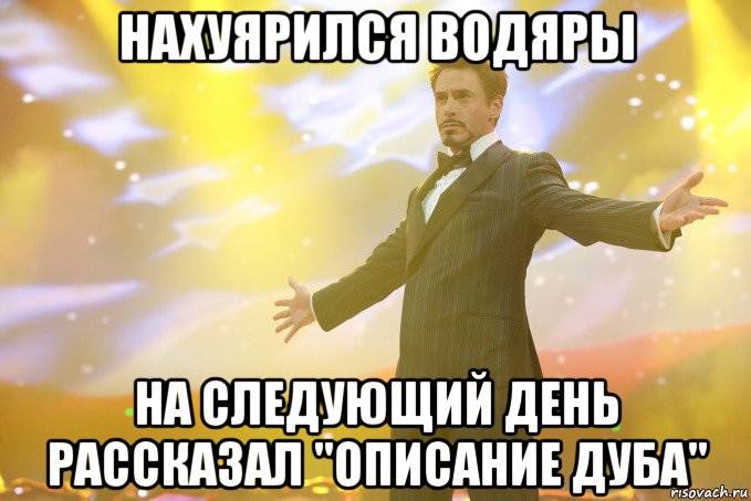 нахуярился водяры на следующий день рассказал "описание дуба", Мем Тони Старк (Роберт Дауни младший)