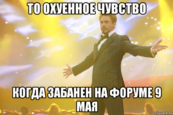 то охуенное чувство когда забанен на форуме 9 мая, Мем Тони Старк (Роберт Дауни младший)