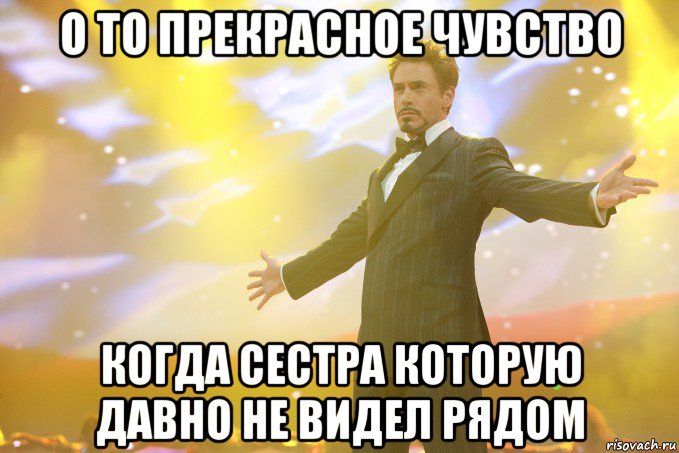 о то прекрасное чувство когда сестра которую давно не видел рядом, Мем Тони Старк (Роберт Дауни младший)