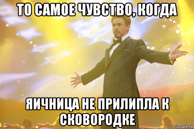 то самое чувство, когда яичница не прилипла к сковородке, Мем Тони Старк (Роберт Дауни младший)