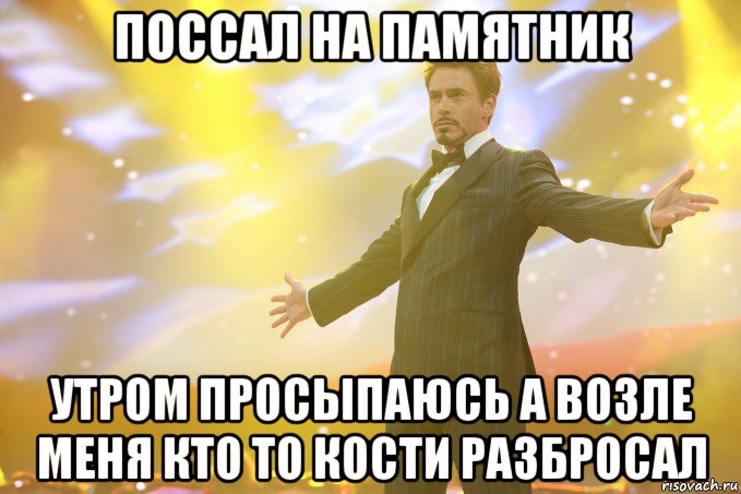 поссал на памятник утром просыпаюсь а возле меня кто то кости разбросал, Мем Тони Старк (Роберт Дауни младший)