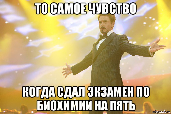 то самое чувство когда сдал экзамен по биохимии на пять, Мем Тони Старк (Роберт Дауни младший)