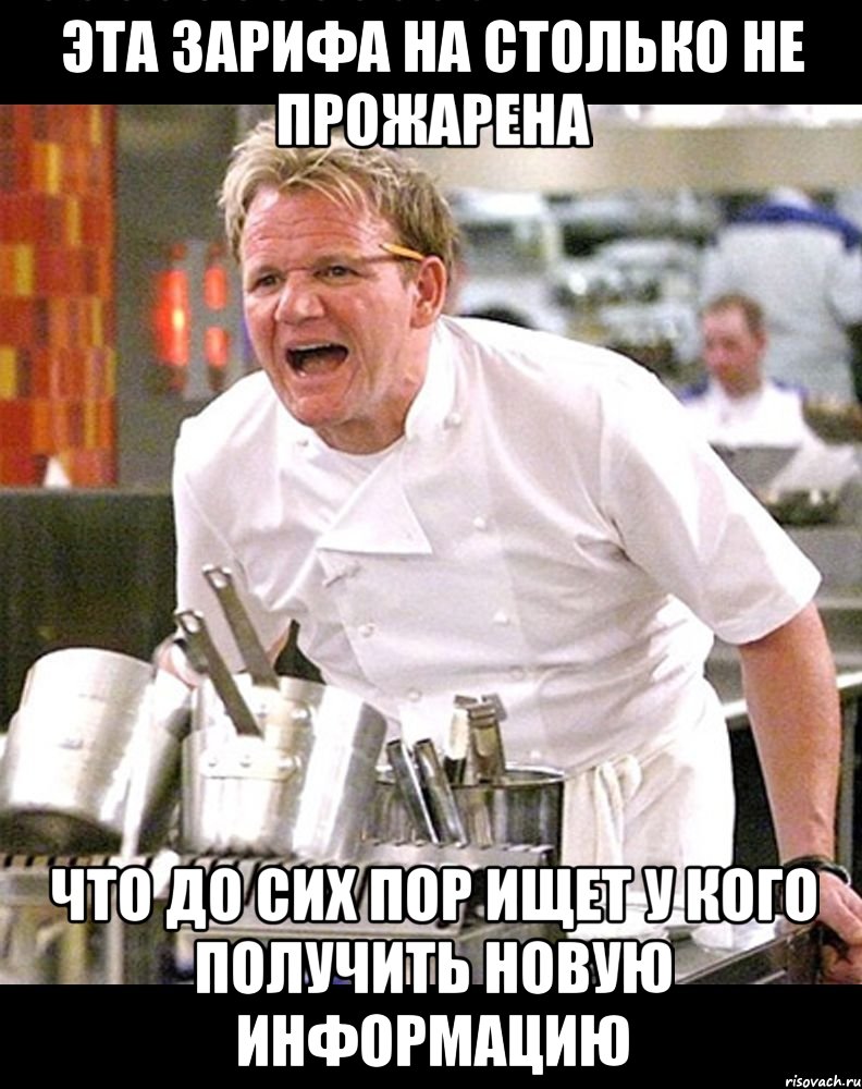 эта зарифа на столько не прожарена что до сих пор ищет у кого получить новую информацию, Мем тп