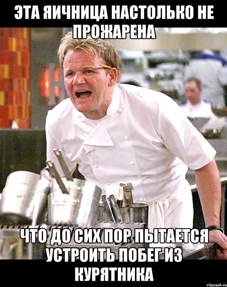 эта яичница настолько не прожарена что до сих пор пытается устроить побег из курятника