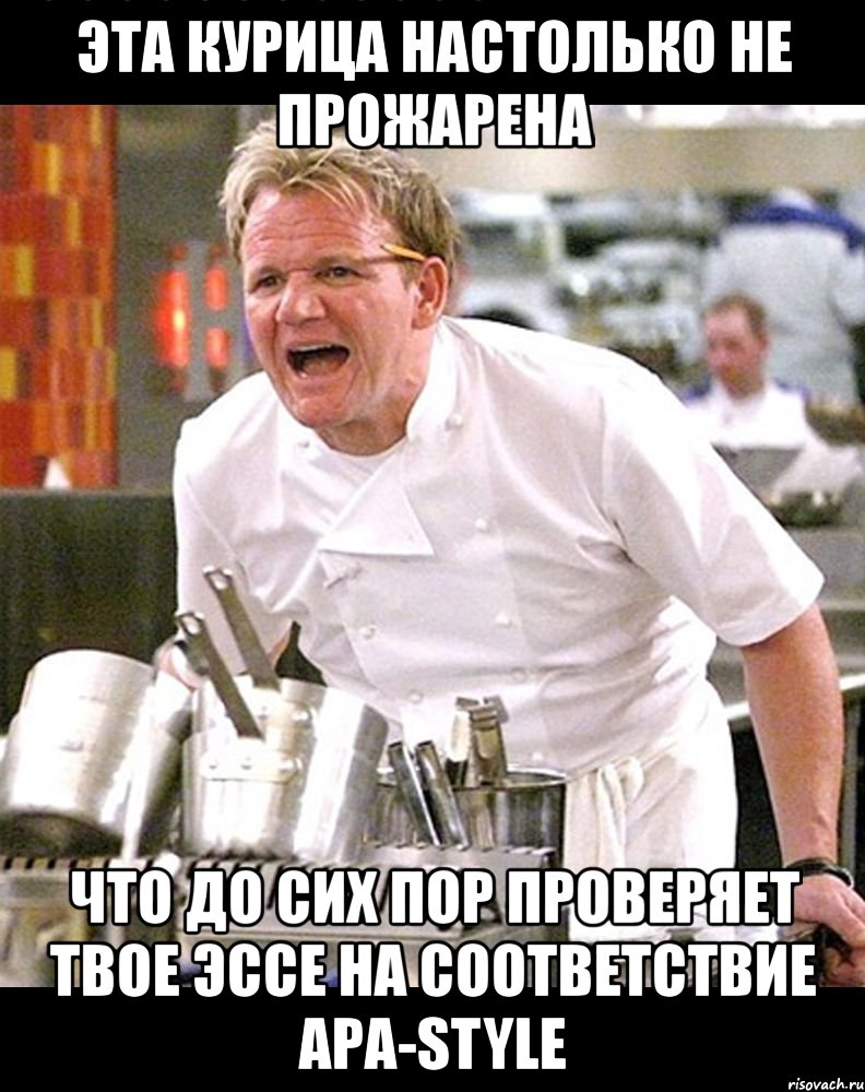 эта курица настолько не прожарена что до сих пор проверяет твое эссе на соответствие ара-style, Мем тп