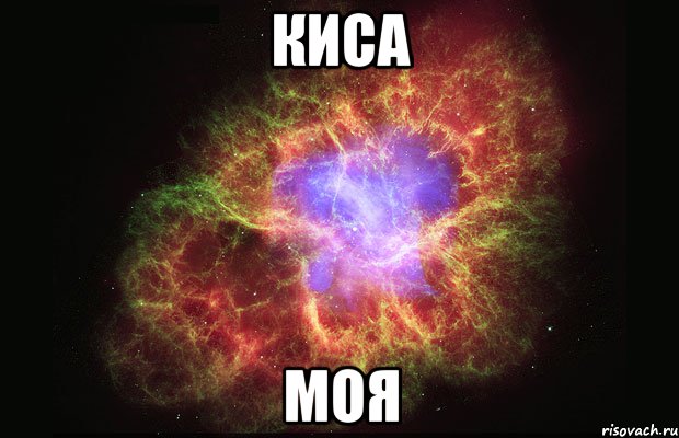 киса моя, Мем Туманность