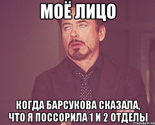 моё лицо когда барсукова сказала, что я поссорила 1 и 2 отделы, Мем твое выражение лица