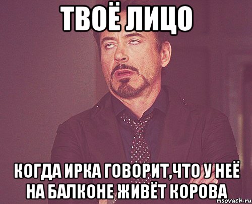 твоё лицо когда ирка говорит,что у неё на балконе живёт корова, Мем твое выражение лица
