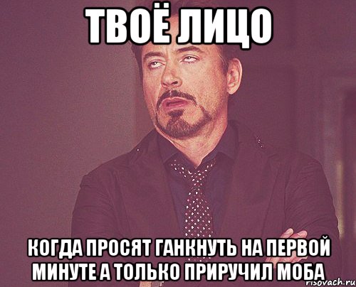 твоё лицо когда просят ганкнуть на первой минуте а только приручил моба, Мем твое выражение лица