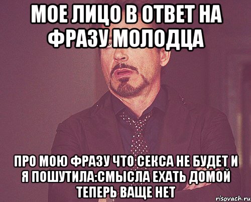 мое лицо в ответ на фразу молодца про мою фразу что секса не будет и я пошутила:смысла ехать домой теперь ваще нет, Мем твое выражение лица