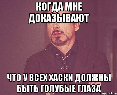 когда мне доказывают что у всех хаски должны быть голубые глаза, Мем твое выражение лица