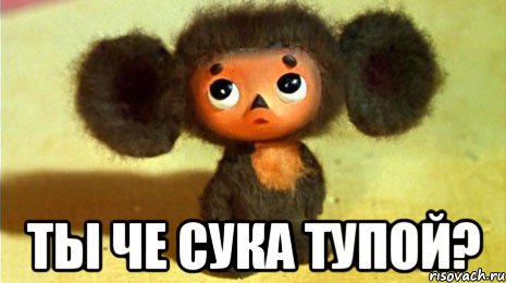  ты че сука тупой?, Мем ТЫ ЧЕ СУКА ТУПОЙ