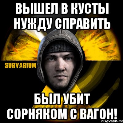 вышел в кусты нужду справить был убит сорняком с вагон!, Мем Typical Scavenger