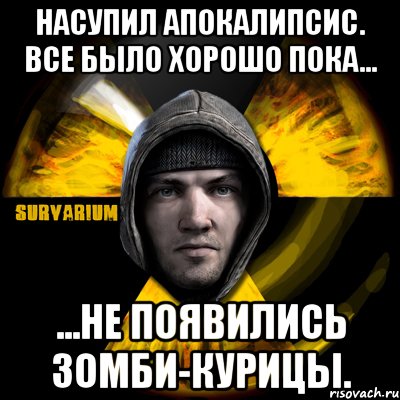 насупил апокалипсис. все было хорошо пока... ...не появились зомби-курицы., Мем Typical Scavenger