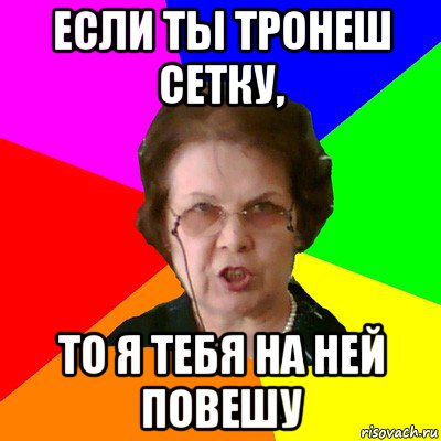 если ты тронеш сетку, то я тебя на ней повешу, Мем Типичная училка