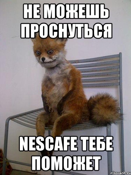 не можешь проснуться nescafe тебе поможет, Мем Упоротая лиса