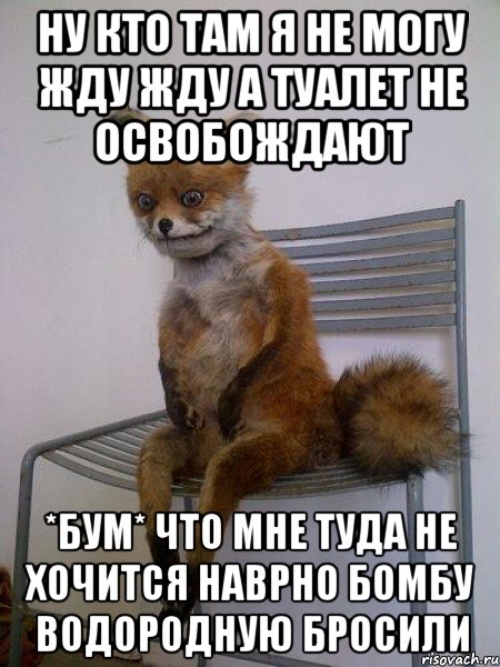 ну кто там я не могу жду жду а туалет не освобождают *бум* что мне туда не хочится наврно бомбу водородную бросили, Мем Упоротая лиса