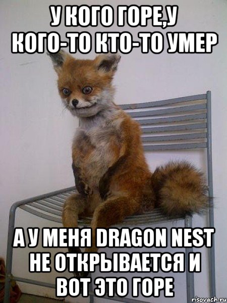 у кого горе,у кого-то кто-то умер а у меня dragon nest не открывается и вот это горе, Мем Упоротая лиса