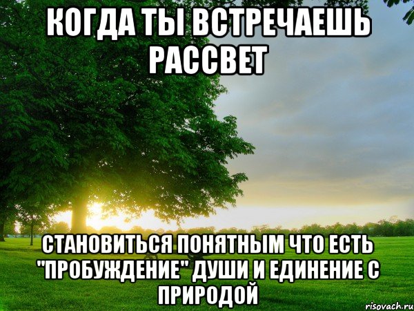 когда ты встречаешь рассвет становиться понятным что есть "пробуждение" души и единение с природой, Мем утро