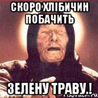 скоро хлібичин побачить зелену траву.!, Мем Ванга (цвет)