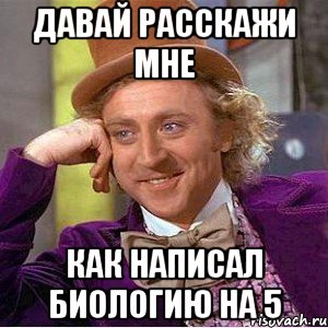 давай расскажи мне как написал биологию на 5, Мем Ну давай расскажи (Вилли Вонка)