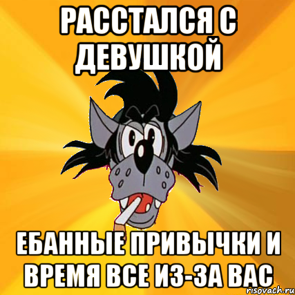 расстался с девушкой ебанные привычки и время все из-за вас, Мем Волк