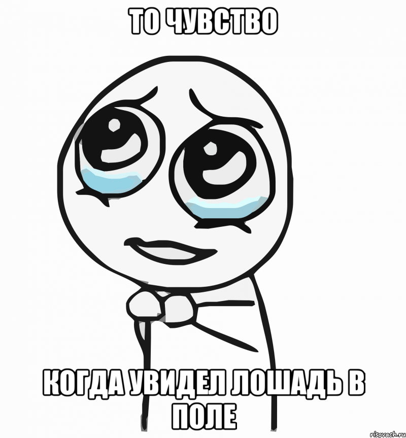 то чувство когда увидел лошадь в поле, Мем  ну пожалуйста (please)