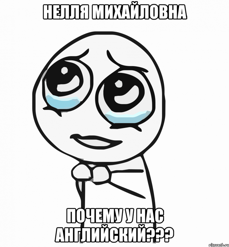 нелля михайловна почему у нас английский???, Мем  ну пожалуйста (please)