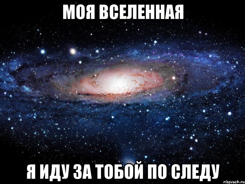 моя вселенная я иду за тобой по следу, Мем Вселенная