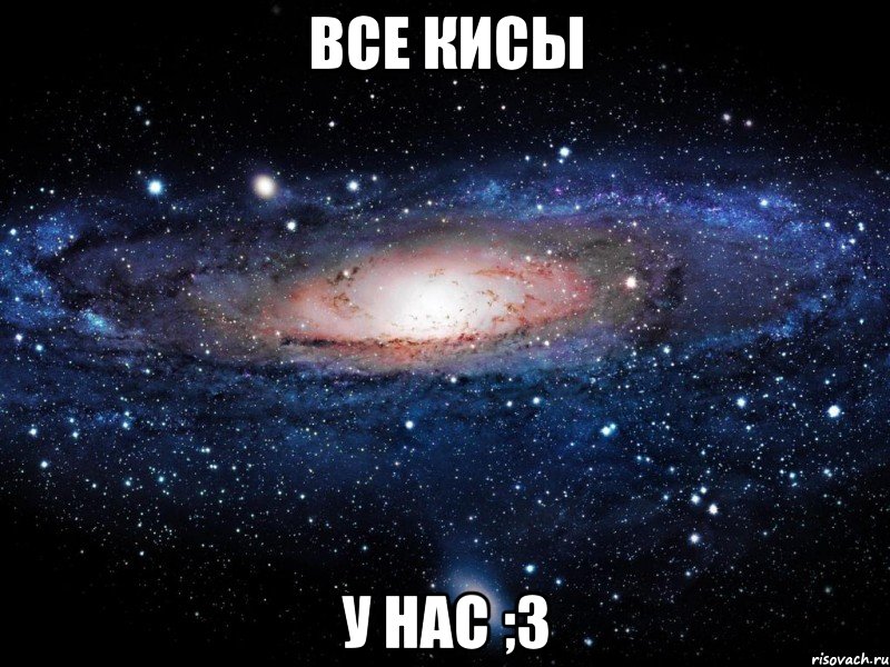 все кисы у нас ;3, Мем Вселенная