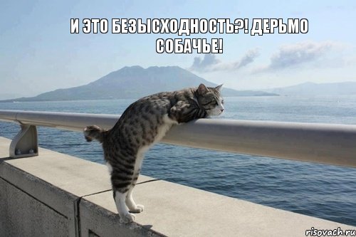 И это безысходность?! Дерьмо собачье!