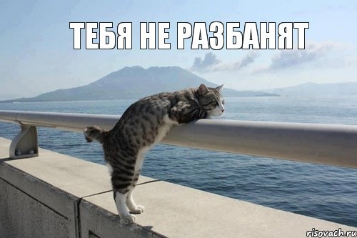 Тебя не разбанят