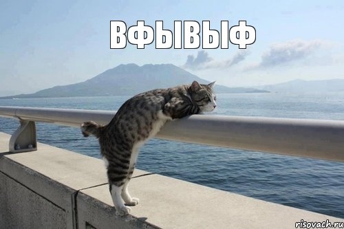 вфывыф