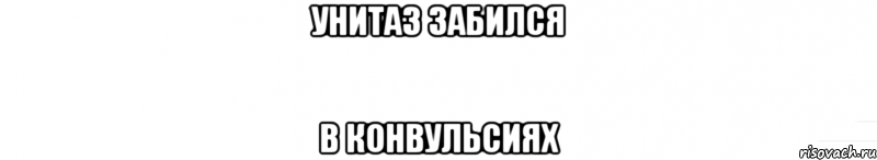 унитаз забился в конвульсиях, Мем ы