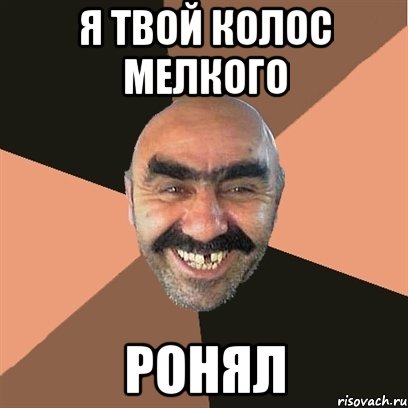 я твой колос мелкого ронял, Мем Я твой дом труба шатал