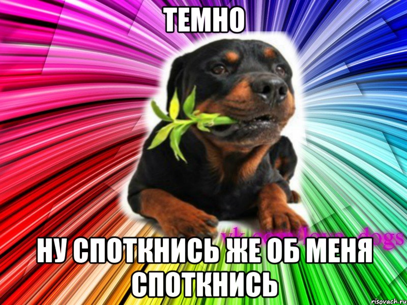 темно ну споткнись же об меня споткнись